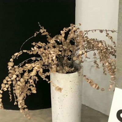 黄山福瑞交流群